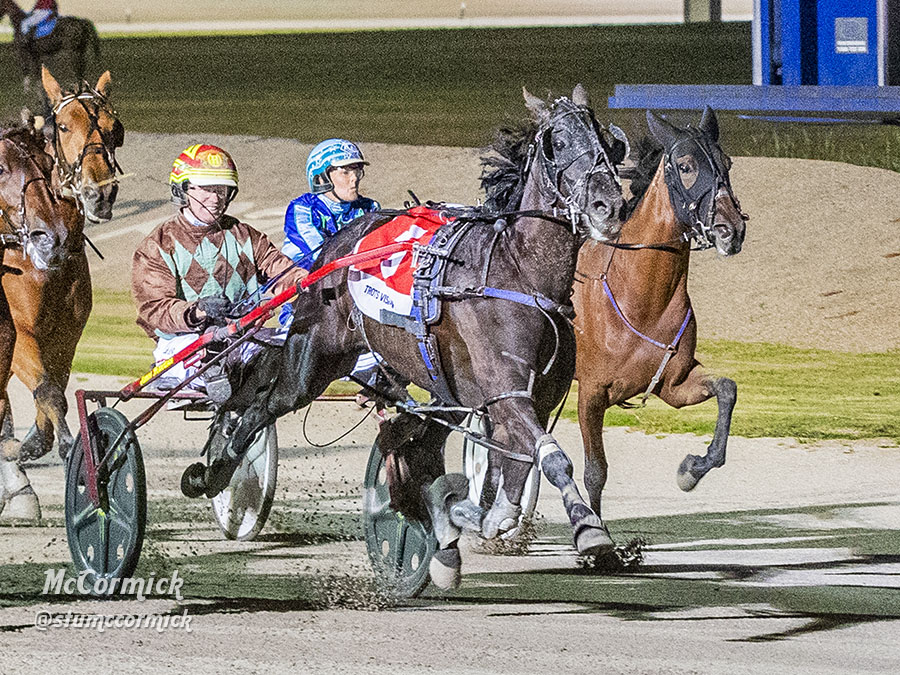 Fillies in fine fettle to again battle boys in Vic Trotters Derby